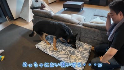 「やだ~、パパの匂いついちゃった…」