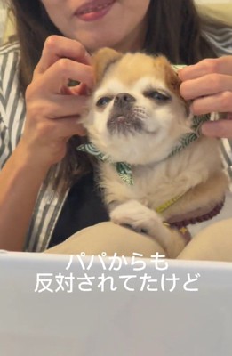 家族の反対があったけれど…