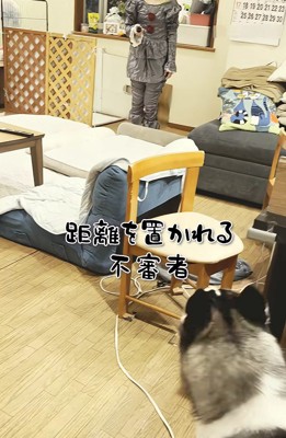 辛辣な結果に爆笑♪