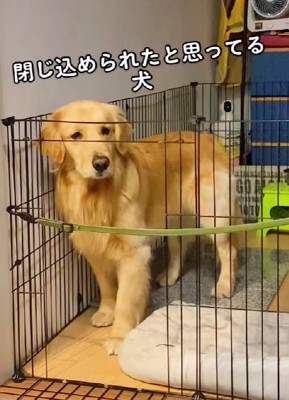 「閉じ込められた…！」