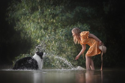川で遊ぶ犬と飼い主