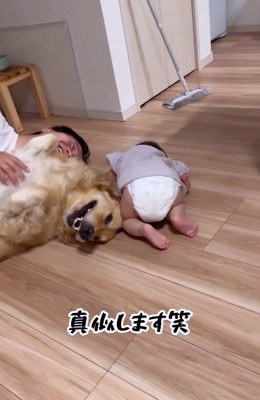 バッハくんの真似をする赤ちゃん