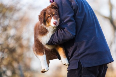 犬を抱き上げる男性