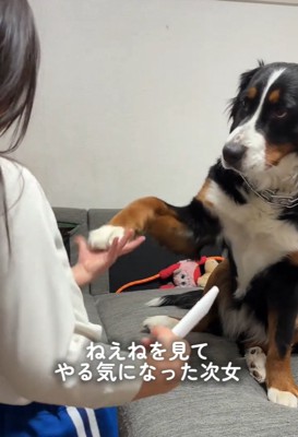 トレーニングするお姉ちゃん