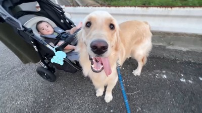 ベビーカーの前に割り込んでニコニコ♪