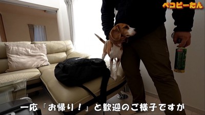 パパが出張から帰ってきた時のペコちゃん2