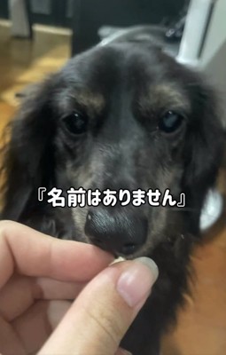 名前はないといわれた次郎くん