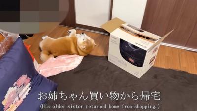 パン作りを見学