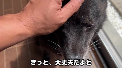 会える日が楽しみだね
