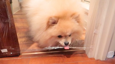 裂け目をペロペロ舐めて…