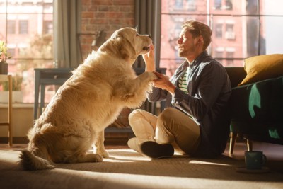 おすわりをする白い犬と飼い主