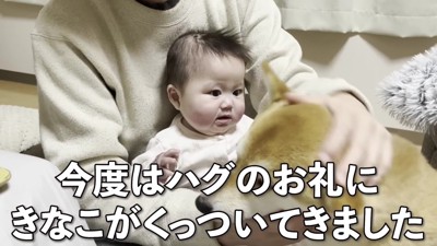 きなこちゃんもお返し