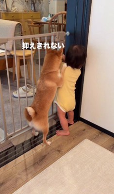 「この愛情を伝えたい…」