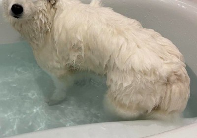 何かに似ている…！！