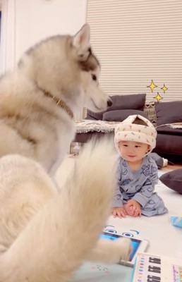 体を回転させるセナくん