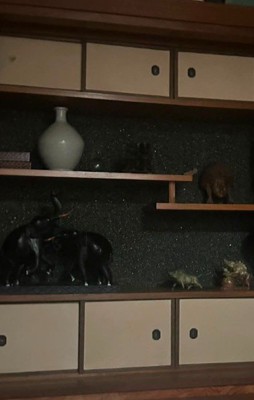愛犬と実家に帰ったら…