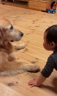 レアくんと赤ちゃんの寝る前の日課4