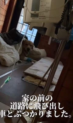 不慮の事故に遭った