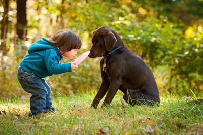 犬とフリスビーで遊ぶ子ども