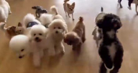 2本足で立ってる！！