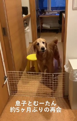 ソワソワし始めたむーたん