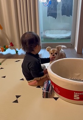 優しいハナちゃん