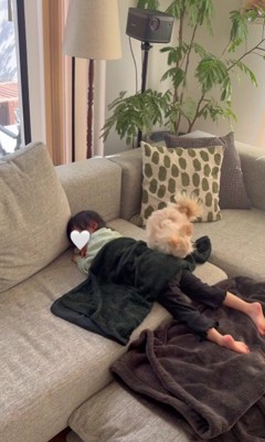 テンちゃんが来た