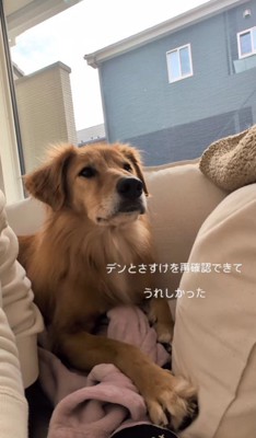 甘え方も分かってきた?