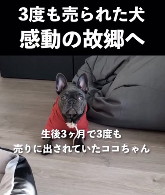 遠い街からやってきました