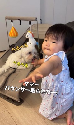 あさりちゃんと赤ちゃん7