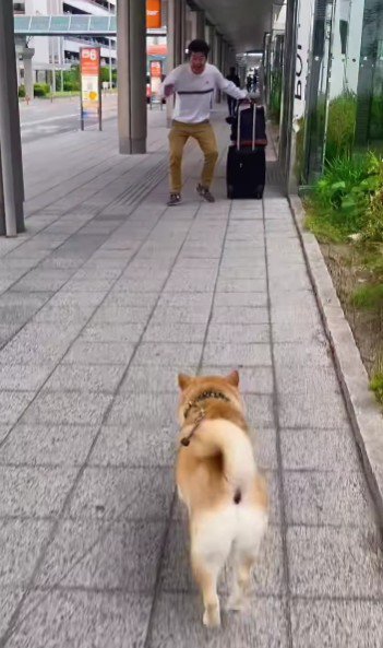 パパが出張から戻ったら…