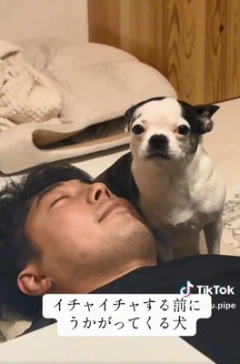 耳を倒すピペちゃん