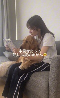 本を見せられる犬