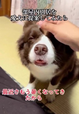 部屋内別居を提案