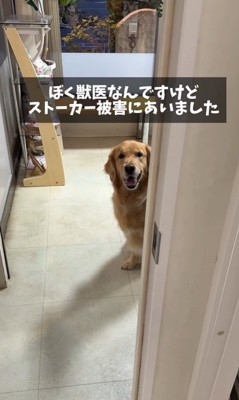 病院が大好きなマーシャル君2