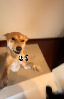 嬉しすぎるごぅちゃん