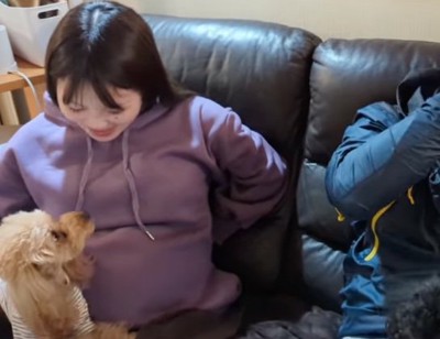 お腹に寄り添う犬