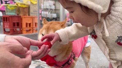 「かーしーて！」