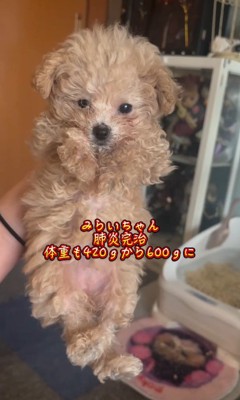 みらいちゃんが元気になるまで2