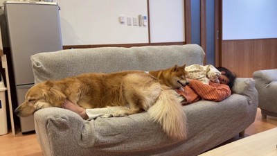 ママの上に全員集合！？