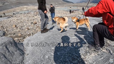 ソラくんまで！？