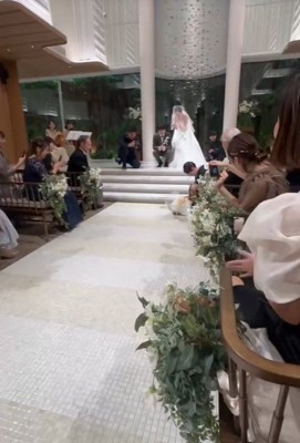 きなこちゃんがリングドッグに挑戦3