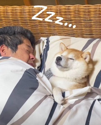 やっと眠れました♡
