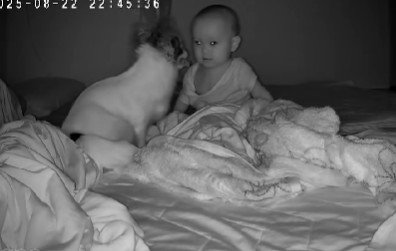 仲良しな2人でした