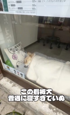 ずっと見ていたい