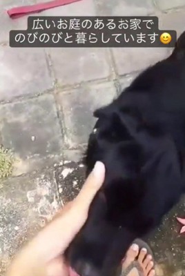 広いお庭でのびのび♪