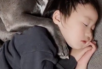 肩に前足を乗せる犬