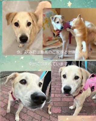 表情の変化に涙