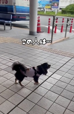 「お兄ちゃん…??」