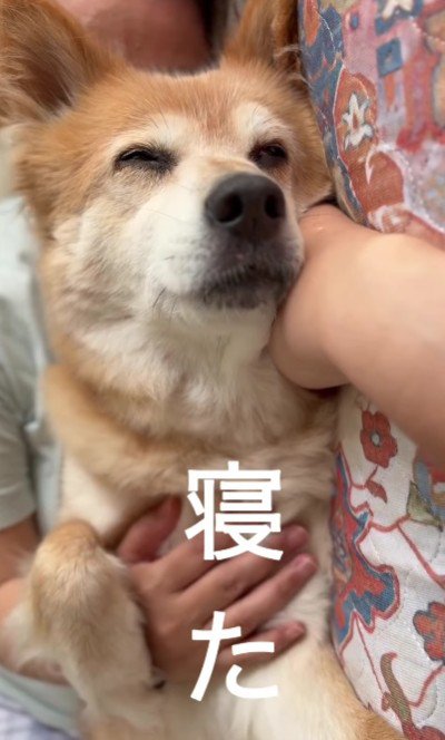 幸せそうな表情に涙